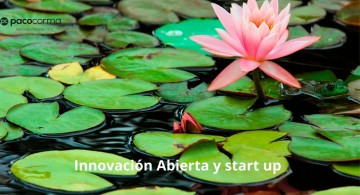 Innovación Abierta y start up